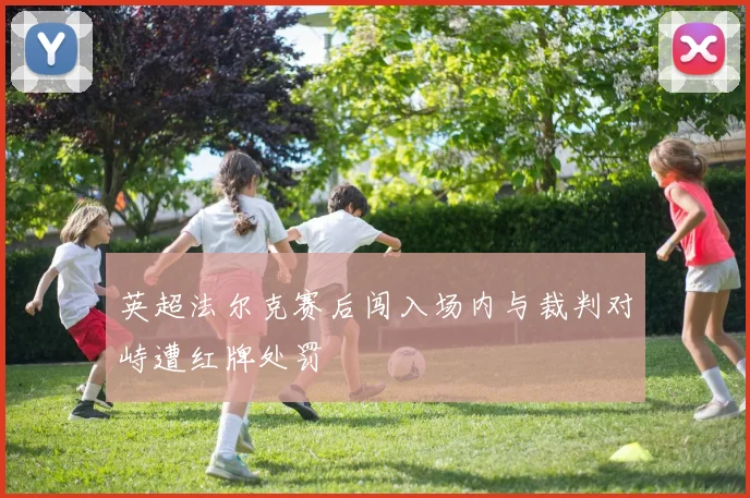 英超法尔克赛后闯入场内与裁判对峙遭红牌处罚